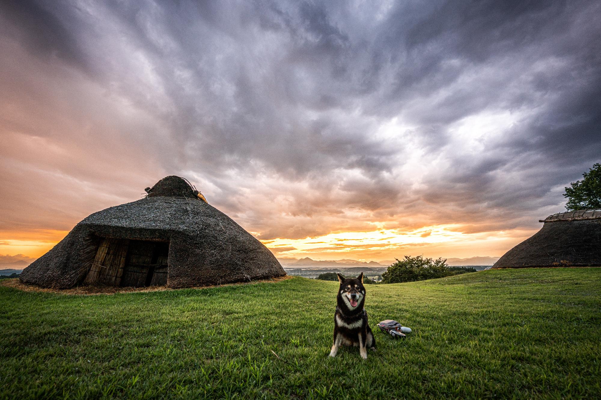 おいでよきたかみ賞