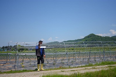 自身の畑からマルシェに出店