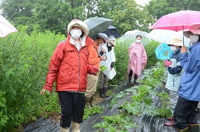 あいにくの雨模様でしたが、参加者は土づくりや栽培の話を聞いて畑を見学しました