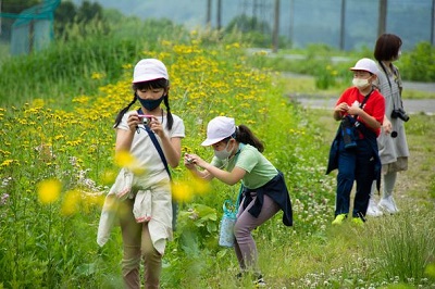 お花の景観をたくさん撮った