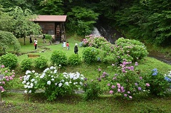 親水公園お滝さん水車まつり