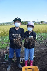 たくさん採れてびっくり