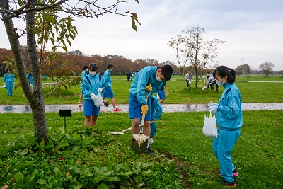 桜に肥料を与えました