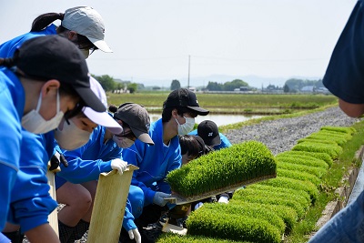 田植えや畑作業などの農業体験