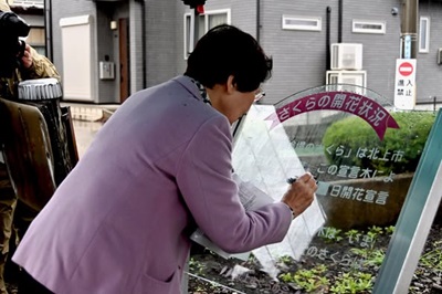 開花宣言2