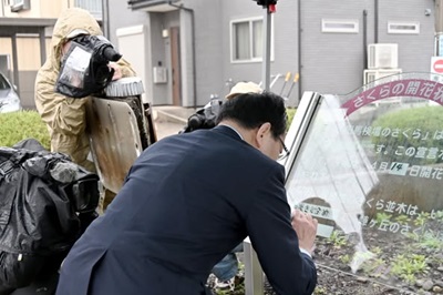 開花宣言3