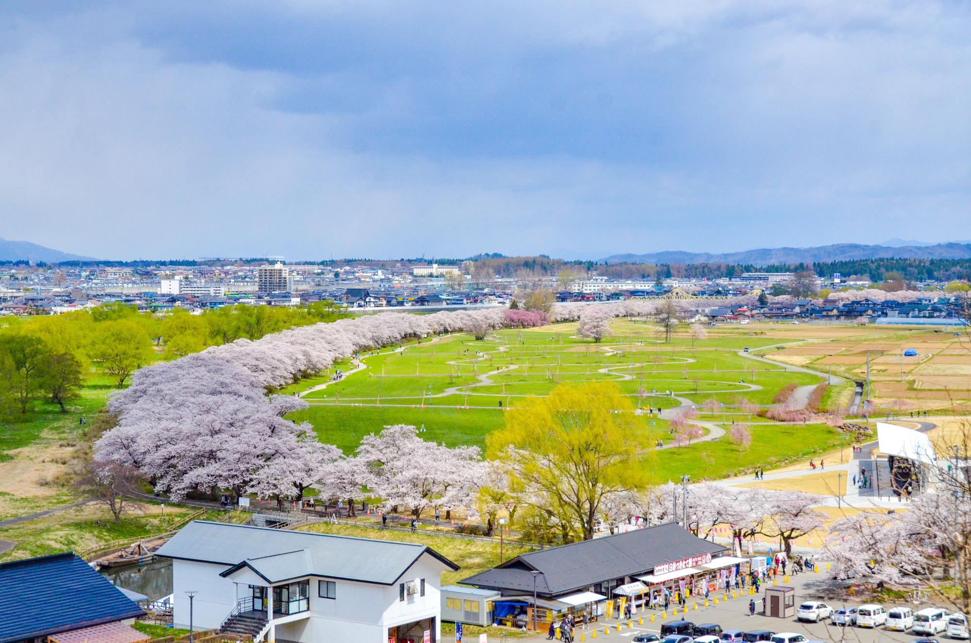 陣ケ丘から見た展勝地