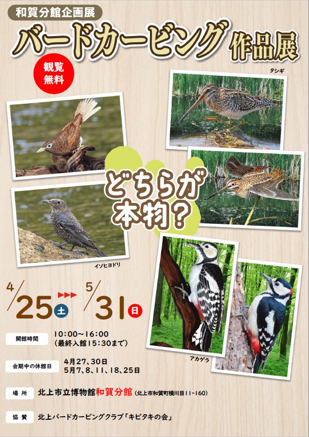 バードカービングR8