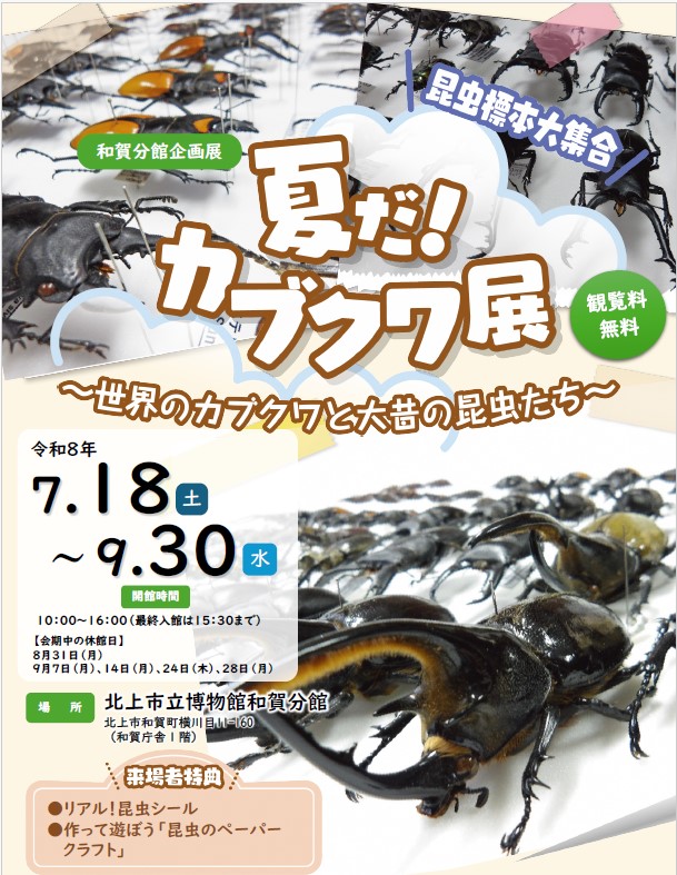 和賀分館企画展「夏だ！カブクワ展~世界のカブクワと大昔の昆虫たち~」チラシ