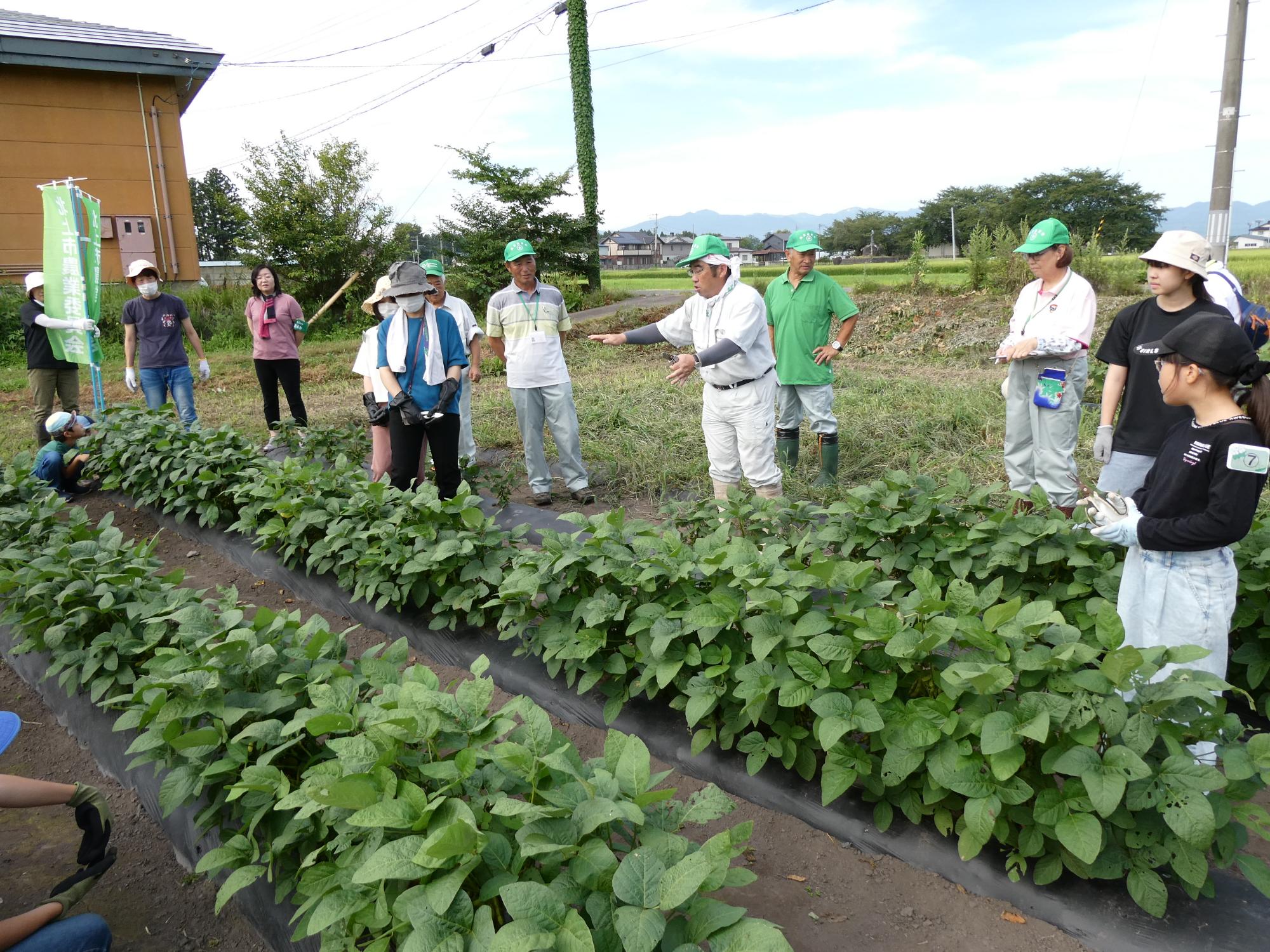 講師が枝豆の収穫作業の説明をしている写真