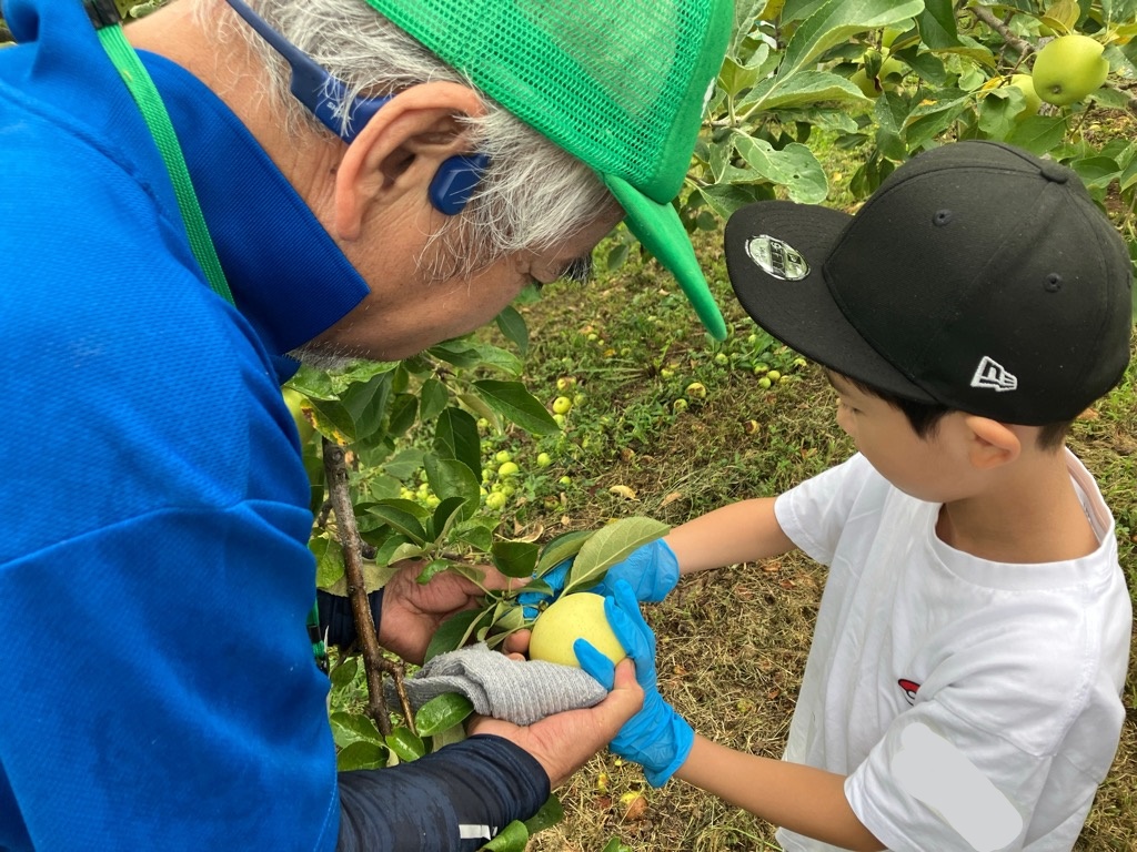 講師からりんごの収穫作業を学ぶ小学生の写真